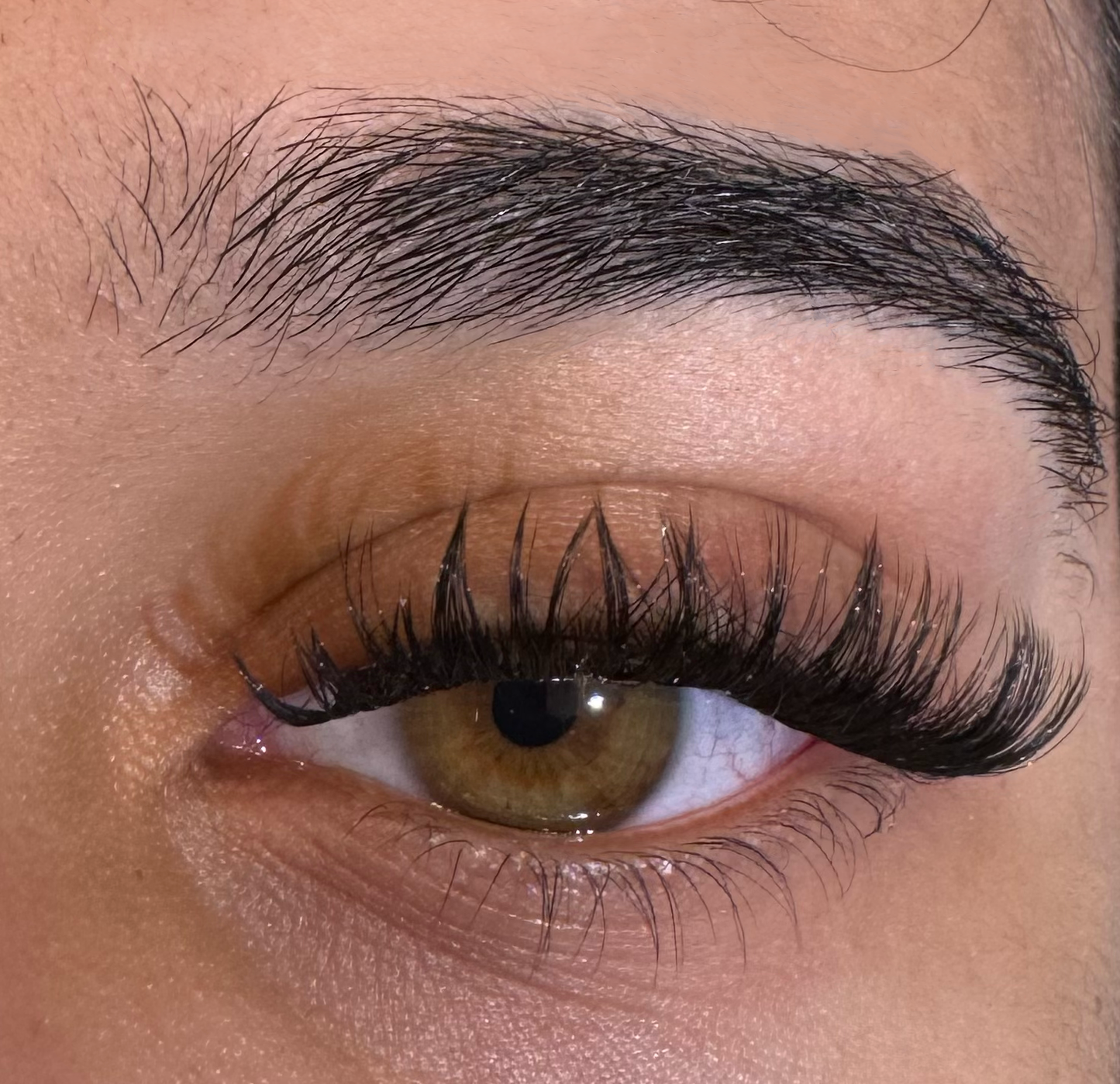 Opulent Lashes